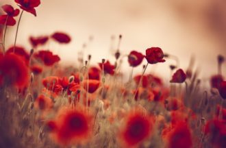 Ausbildung zur Trauerrednerin