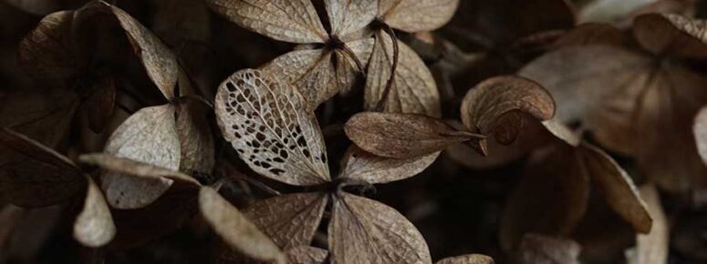 Sprecher Ausbildung Trauerrednerin