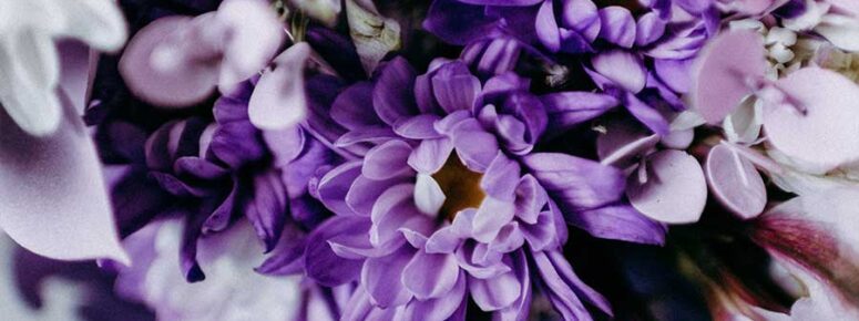 Trauerbewältigung Ausbildung