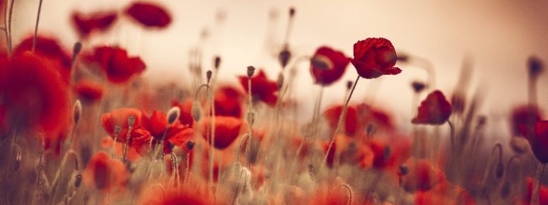 Trauerreden Sprechen Schreiben Seminar